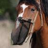 Horse Fly Masque UV Fly Masque For Horses Mesh Breathable Equine Shield For Control Comfort Large Medium Protection Cows Farm