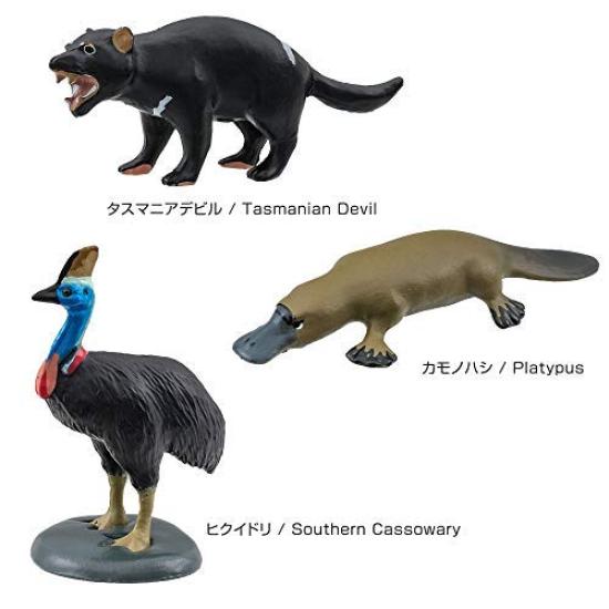 Calorata Tiergeographie Zone 4 Figur 3D Enzyklopädie und Australisch 12 Enthält Realistische Figur Box Pädagogisch Lebensmittelhygienegesetz Geschenk