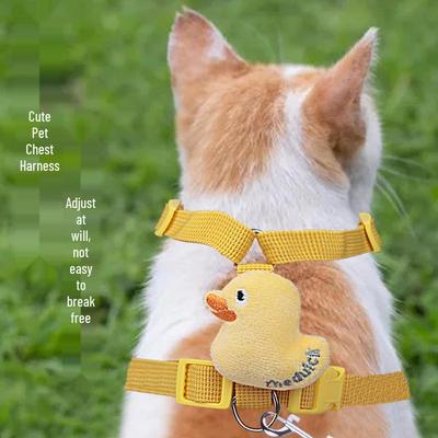 Cani – Collari e guinzagli per cani