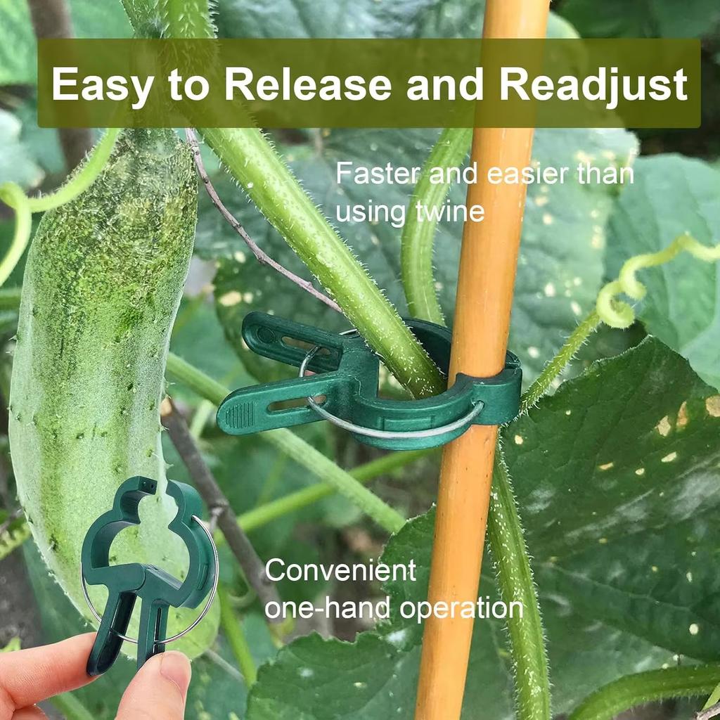 100pcs Plant Fixed Clips Reusable Garden Greenhouse Bracket Garden Plants Vine Climbing Clamp Flower Tomato Support Fastener