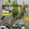 Natural Driftwood Vine for Gecko, Eyelash, Leopard, Fat-tailed, Knob-tailed Lizard, and Reptile Habitat Décor