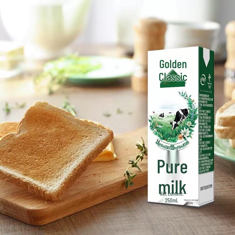 Yili Jindian Pure Whole Milk (250ml x 12 Pack)