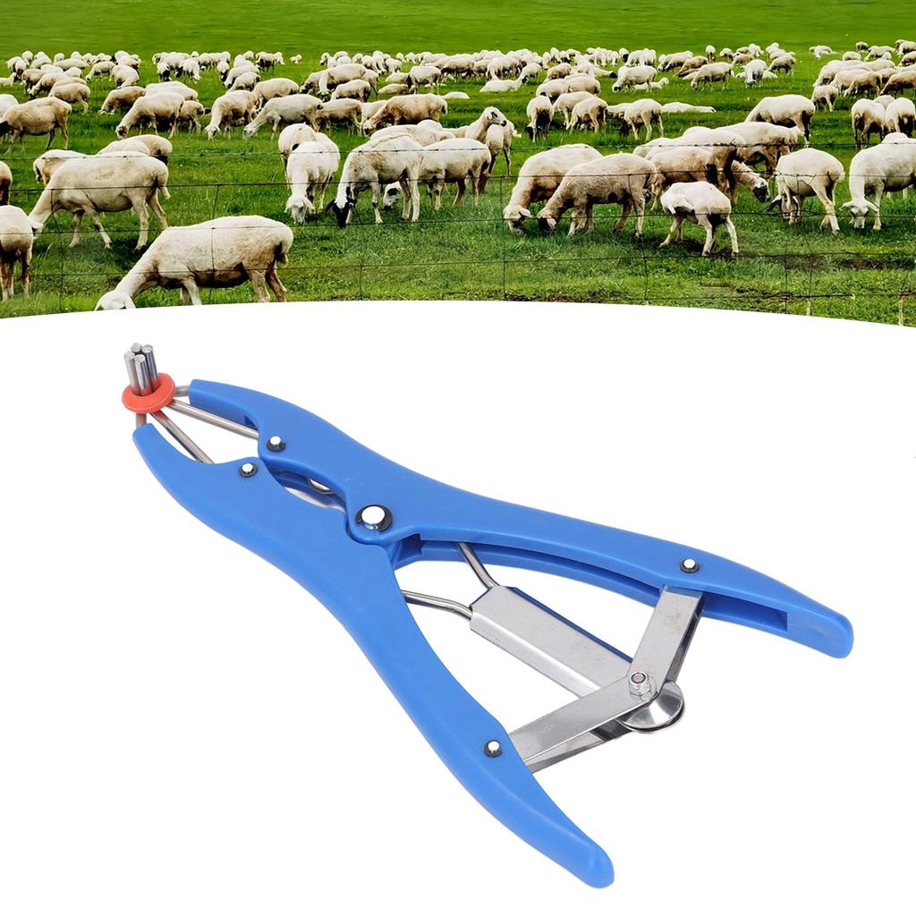 Bander de castrare din oțel inoxidabil, fără sânge, cu 100 de bucăți Kit de bandă de inele de castrare pentru viței de capră