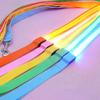 Pet Glow LED Flashing Light Anti-lost Leash Lead Rope Belt