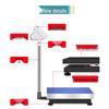 Yingheng Commercial Rechargeable Electronic Platform Scale