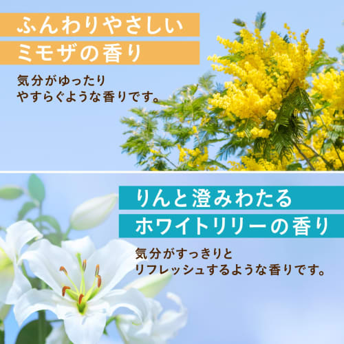 Warm Foam Floral Sheen 12 tablets