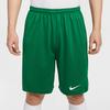 Nike Dri Fit Casual Shorts Men's Pine Green