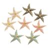 Summer Enamel Starfish Earrings Personality Trend Fashion Pentagram Earrings Light Luxury Holiday Earrings Women
