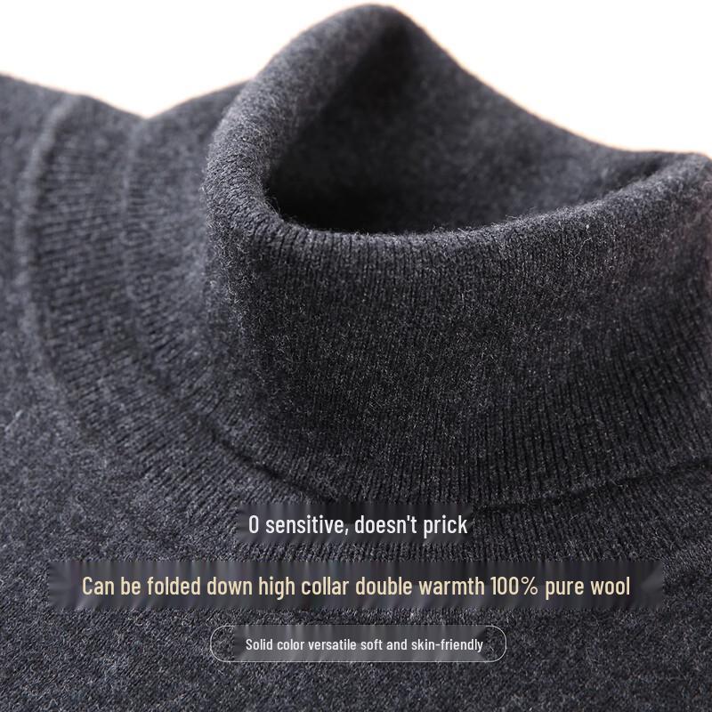 JOW Men's Pure Wool Turtleneck Sweater