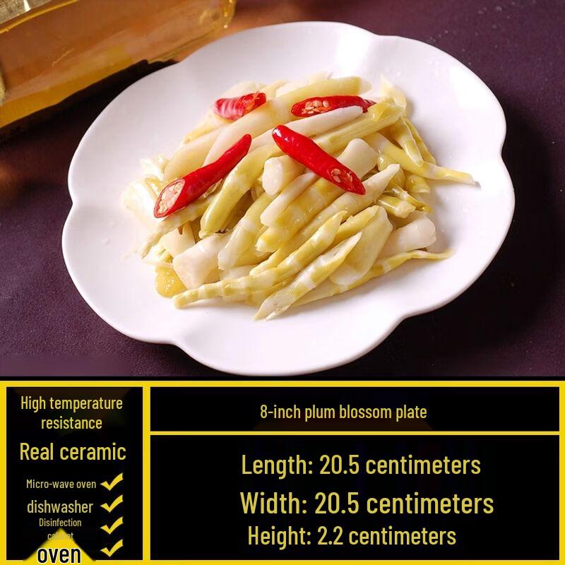 Ceramic Irregular Dinner Plates