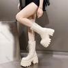 Women's Punk Platform Boots Autumn Spring New Gothic Leather Mid-Calf Boots Lace-Up Chunky High Heel Streetwear Motorcycle Botas