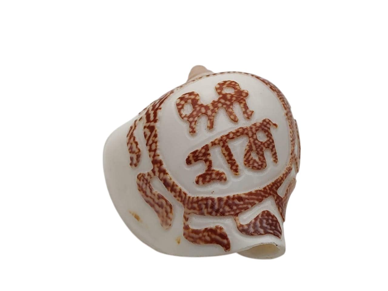 RSINC Shankh for Pooja/Shankh with Shree Ram Written/Home/Seed India/Blowing Shankha for Pooja Puja Shankh