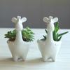 Kawaii Giraffe Blumentopf Sukkulenten Topf Keramik Desktop Topf Übertopf Bonsai Kunst Vase Wohnkultur Büro Dekoration Blumentopf Garten Liefert