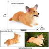 Solid Cute Animal Models: Squirrel, Shiba Inu, Teddy, Hamster, Panda, Flying Squirrel Car/Desktop Ornaments