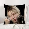 Kpop Taemin Cushion Cover Natural Linen Pillowcase Set AllinOne Decor Cushion Cover for Sofa Bedroom Chair