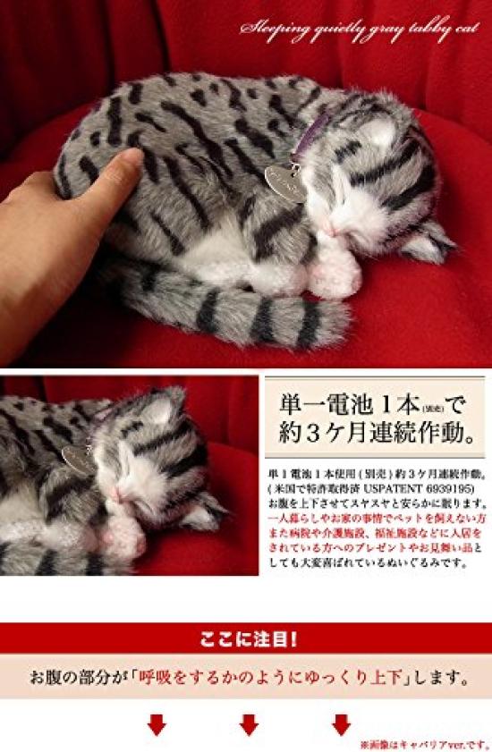 Nini a Kino: Dokonalý mazlíček (Malá velikost) Sabata kočka plyšová hračka kočka kočka realistický vzhled různé zboží zvířecí léčení pohyblivý dárek dárek