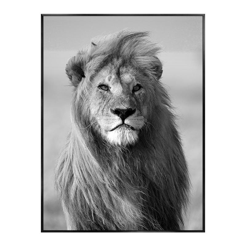 Monstera Leaf Green Plant Poster Animal Lion Leopard Horse Photos Nordic Decorative Paintings Canvas Wall Art Picture Home Decor