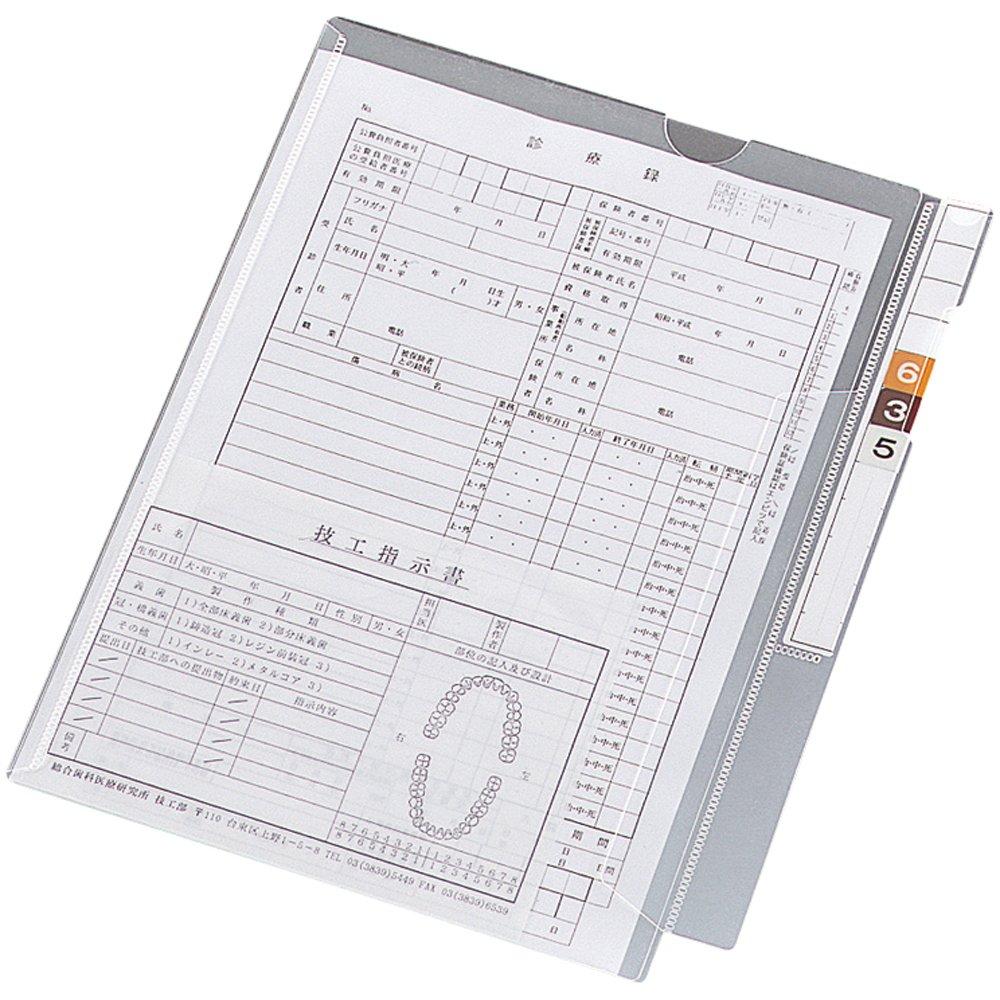 Lihit Lab Medical Record Folder with Flap, A4 Single, 100 Sheets, HK2001
