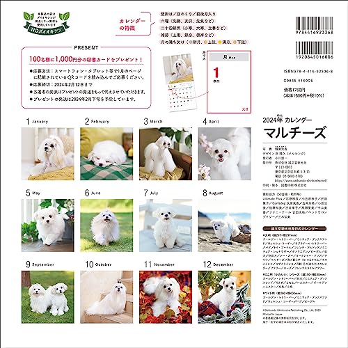 2024 Calendar Maltese (Seibundo Shinkosha Calendar)