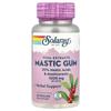 Solaray Mastic Gum 1000mg (500mg Per Capsule) Veggie Capsules, 45 Count