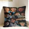 Joe Keery Steve Harrington Pillow Cover  Print Cushion Cover Kawaii Pillow Case For Wedding Party Home Decor