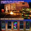 Weihnachtsbaum-RGB-Fantasiefarblicht, 100LED 10M WS2812B RGBIC-Licht, IP65 wasserdichte Bluetooth-Sprite-LED-Lichterkette
