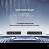 FionTu FT-JP2H450 Professional 2-Channel Digital Power Amplifier (CN Version)