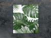 SZKLANA DESKA DO KROJENIA 45x52 MONSTERA