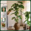 White Variegated Monstera Faux Tree - Large, Potted, Light Luxury Decor for Living Room
