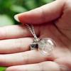 Natural Dandelion Glass Bottle Home Decoration Long Strip Leather Long Chain Pendant