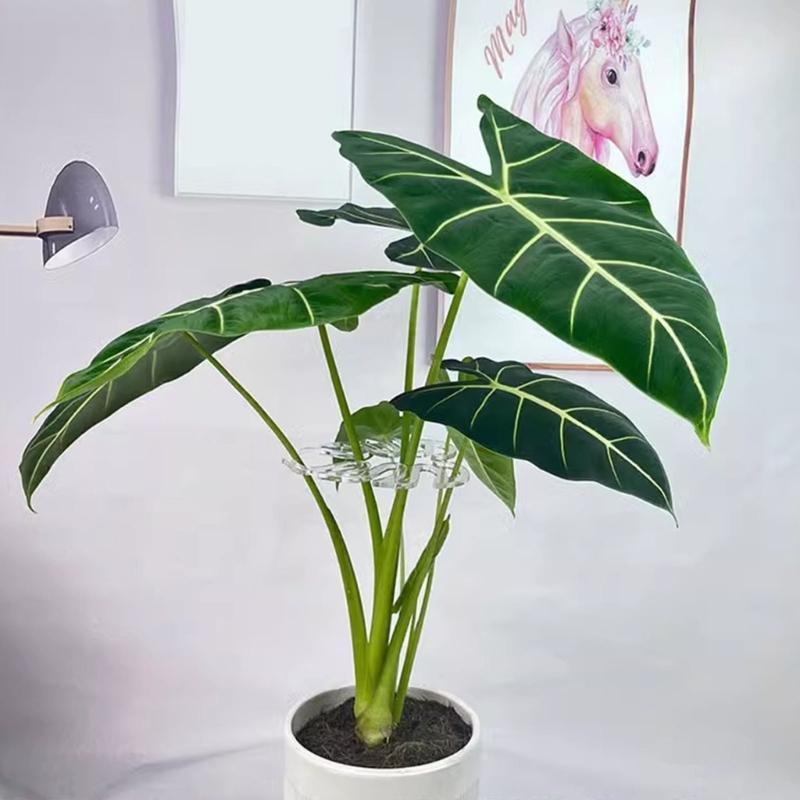 Clear Plastic Plant Stem Stabilizers Garden Stakes for Supporting Fragile Flowers Herbs Small Trees