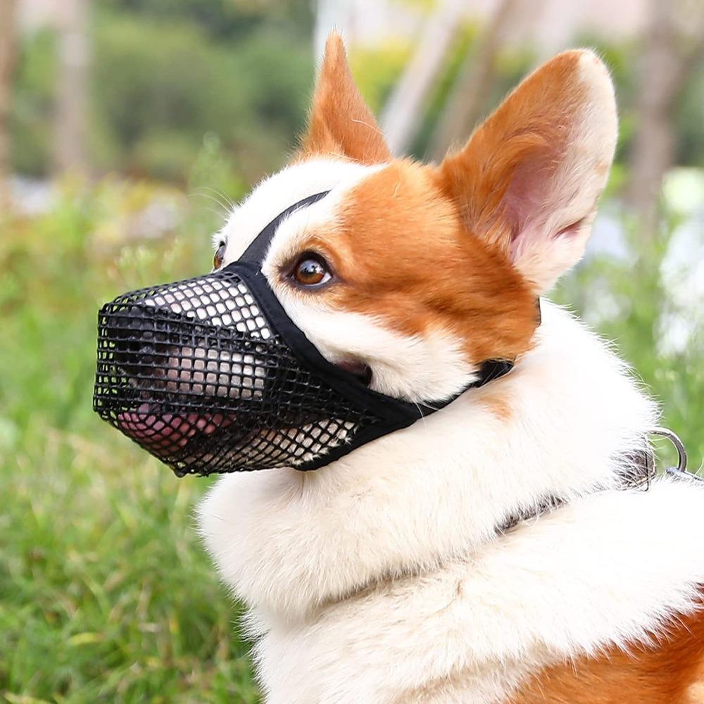 Long Snout Pet Muzzle Lightweight Anti Bite Muzzle No Chafe Dog Bark Stopper Medium Large Dogs