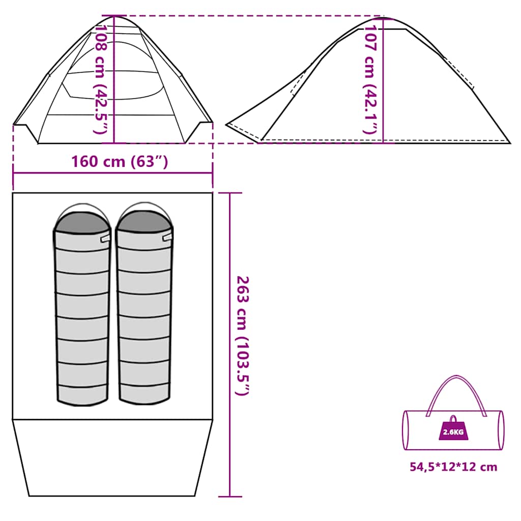 Dome Camping Tent for 2 Persons Blue Waterproof