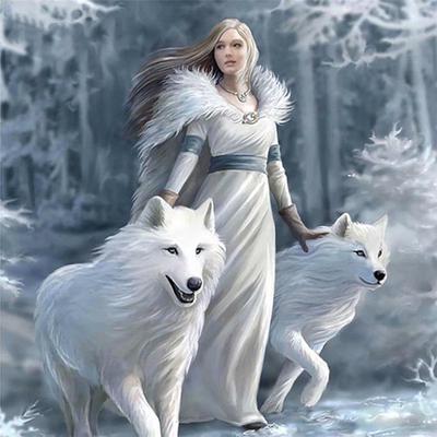Kompletní 5D DIY diamantová malba Snow Wolf Girl Diamantové vyšívání Sada křížových výšivek Drahokamenná mozaika Domácí dekorace Dárek