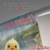 2pcs   2D FLAT PRINTING Curtains (Without Rod) Easter Chick Modern Pattern Curtains Polyester Curtains Festive for Bedroom