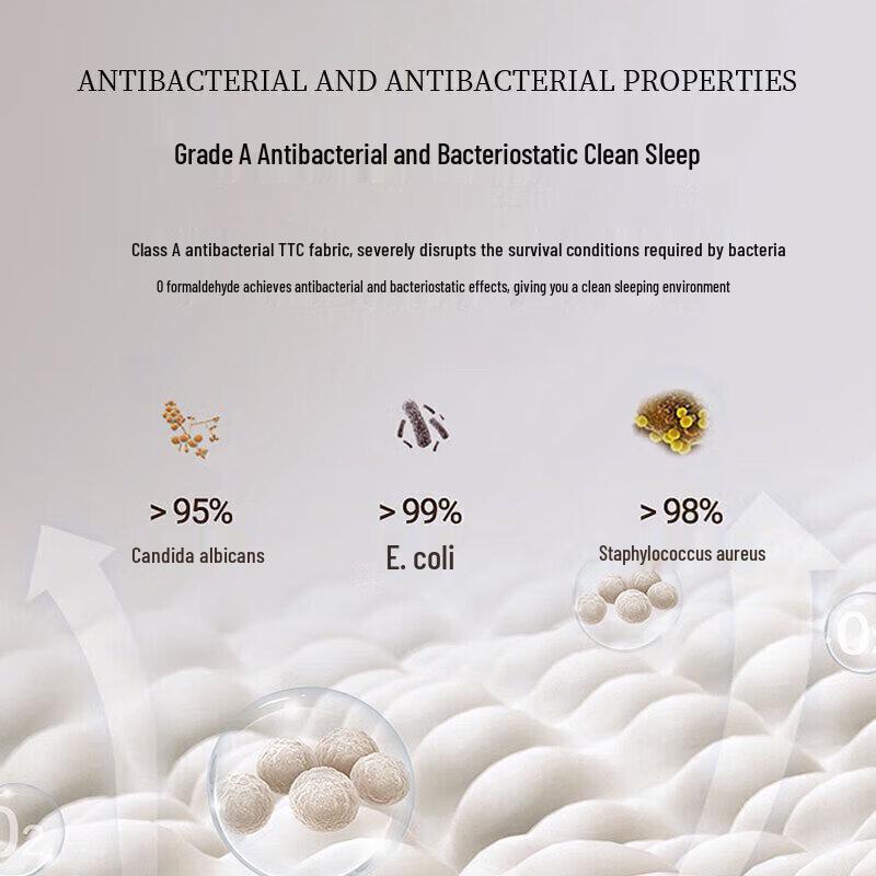 Ran Brand White Duck Down Winter Comforter