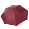 Automatic umbrella weather and rain vinyl umbrella cartoon cute sun umbrella creative Korean version of Muse tri-fold umbrella
