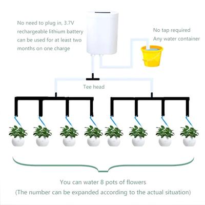 Contrôleur de pompe d'arrosage automatique intelligent pour fleurs et plantes, dispositif d'irrigation goutte à goutte, système de minuterie de pompe, outil de jardin