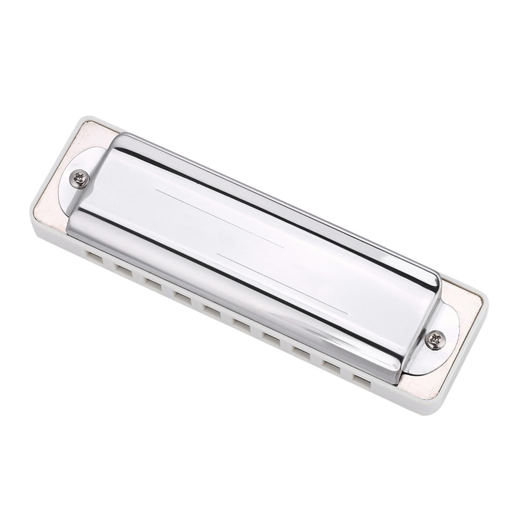 KONGSHENG AM20D Phosphor Bronze Reed 10 Hole 20 Tone Blues Harmonica In the Key of D(White)