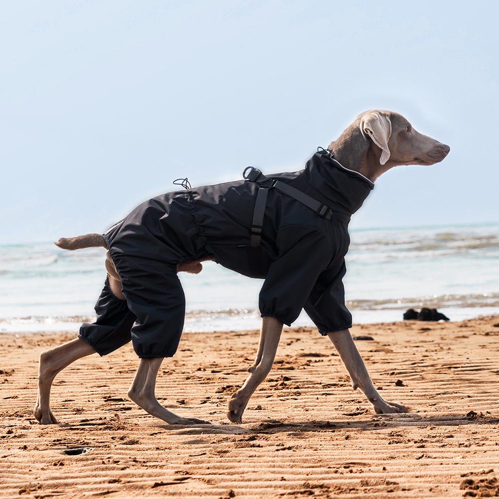 Medium & Small Dog Raincoat with Leash Hole - Waterproof & Reflective Puppy Jacket
