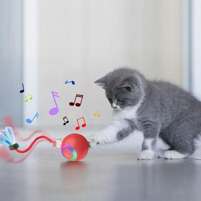 Kedi – Kedi Oyuncakları