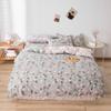 Thickened Brushed Four-piece Bed Sheet and Quilt Cover Three-piece Set Four-season Autumn and Winter Bedding Duvet Cover