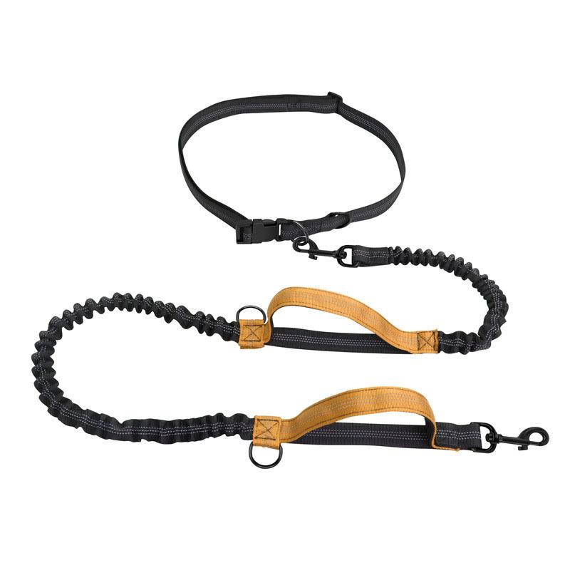 Double Stretch Running Leash Pet Leash Portable Running Reflective Double Stretch Dog Leash