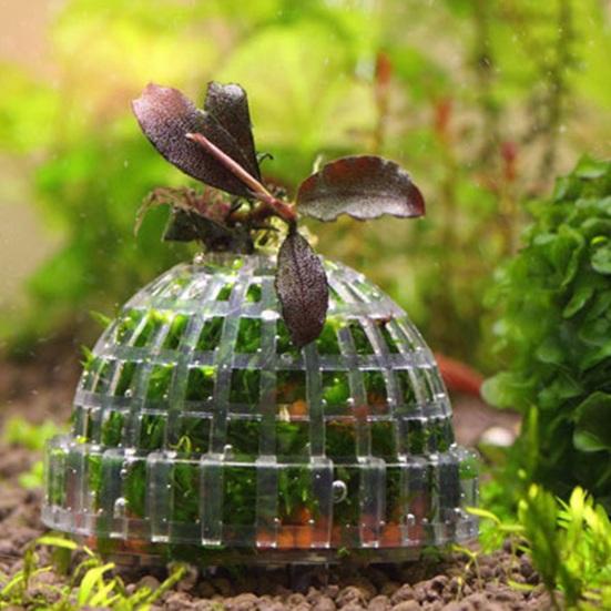 Moss Hemisphere Colonization Ball Aquarium Shrimp Fish Tank Moss Balls Holder Freshwater Live Plants Shaping Ball with Filter Stone