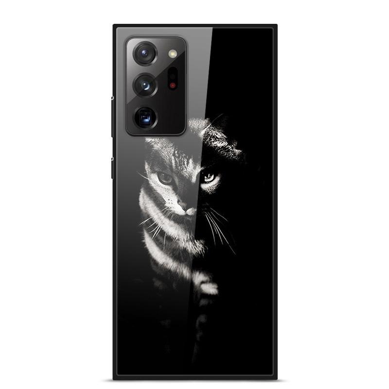Glass Case For Samsung Galaxy S21 Note 20 Ultra Case Tempered Glass Back Cover For Samsung Note 20 S21 Ultra Case S21 S 21 Case
