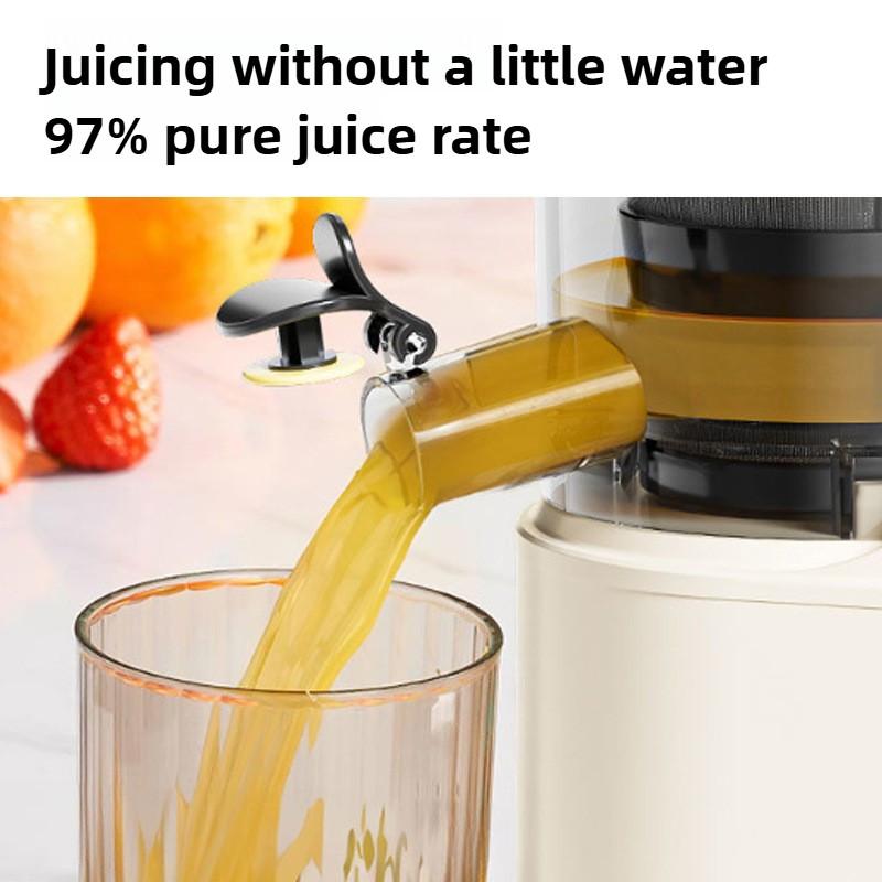Fruit Vegetable Slow Speed Juicer Commercial Large Caliber Household Juice Residue Separation Fruit Juice Extraction Machine