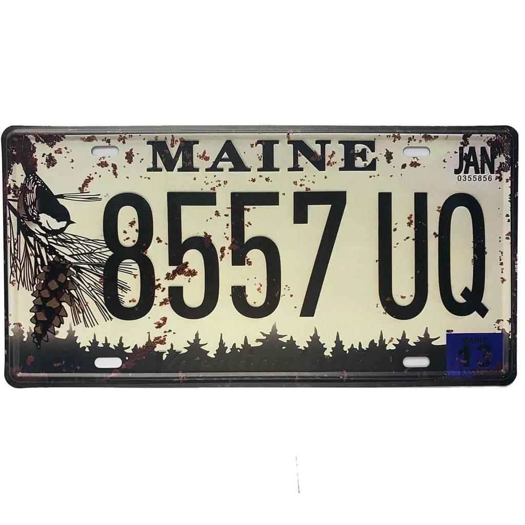 Targa vintage in metallo arrugginito, targa personalizzata anteriore per auto, novità, vecchia targa, garage, bar, club, caffetteria, decorazione