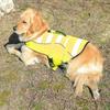 Reflective Safety Vests Adjustable Pet Life Preserver Dog Life Jacket for Small Medium Dogs