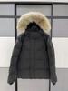 Wyndham Canada Goose Down Parka: Unisex Jacket with Real Coyote Fur, 29 Styles (3808M)