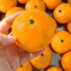 Handmade Orange Squeeze Toy Sensory Blocks Filled Fidget Novelty Squishy Crunchy  Kid Adults